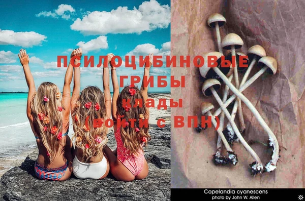 MESCALINE Няндома