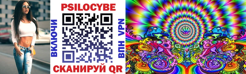Галлюциногенные грибы Cubensis  где найти наркотики  Сураж 